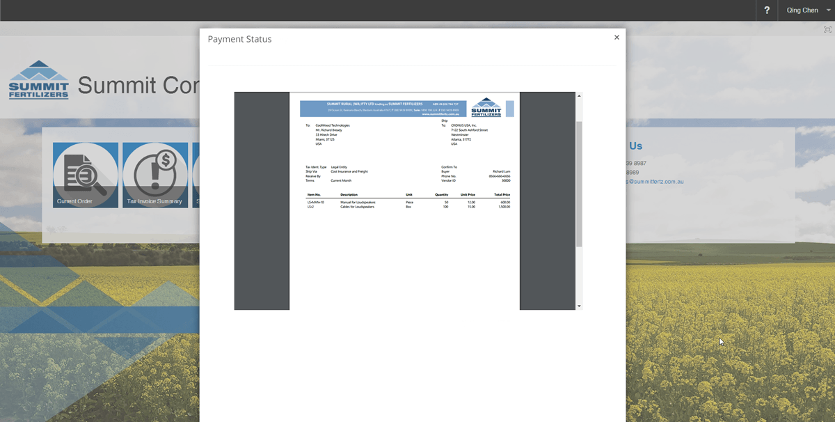 Distribute invoices and statements using portals